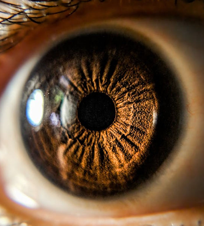 Macular Carotenoids