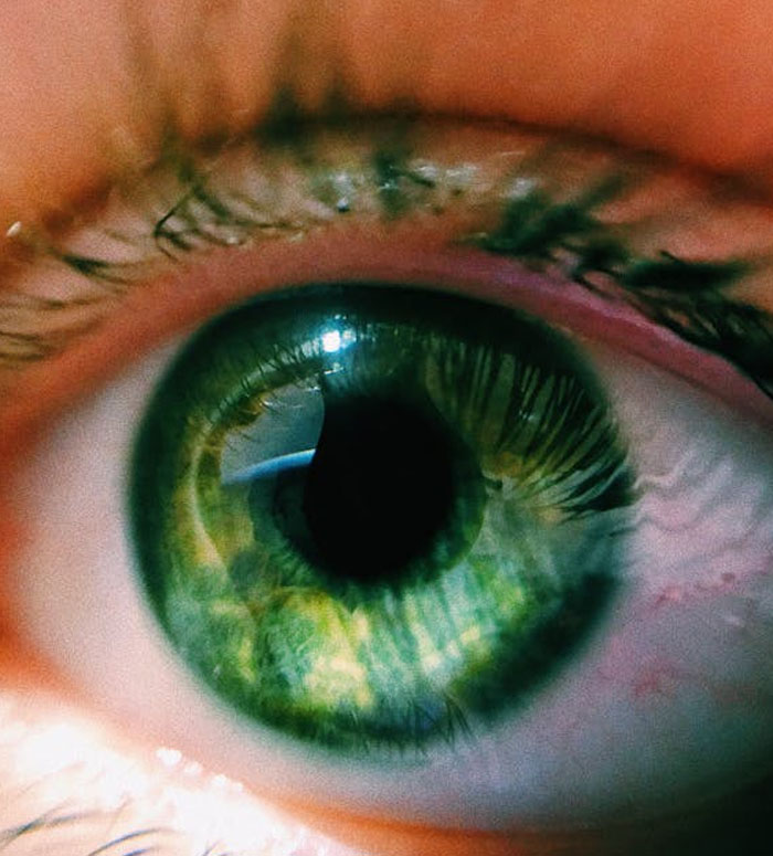 Macular Pigment